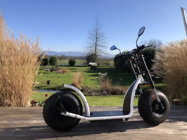 Baden-Baden: Private Guided KNUMO E-Scooter Tour VIP - The Sum Up