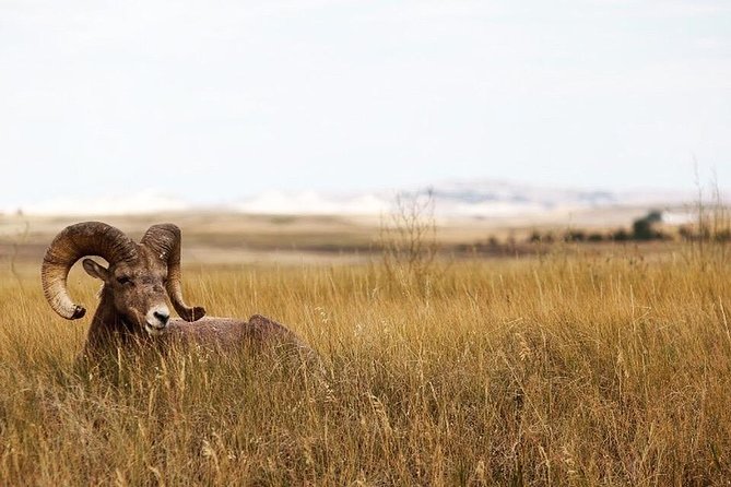 Badlands National Park by Bicycle - Private - Common Questions