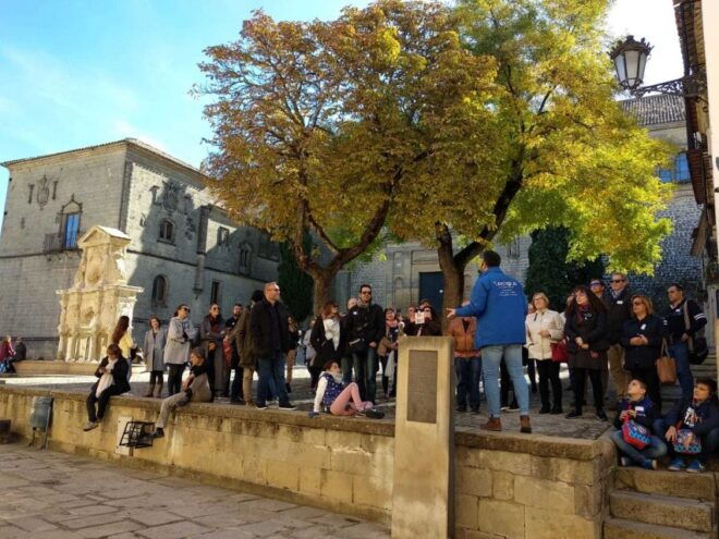 Baeza: 2.5-Hour Guided City Tour in English/French - Accessibility Details