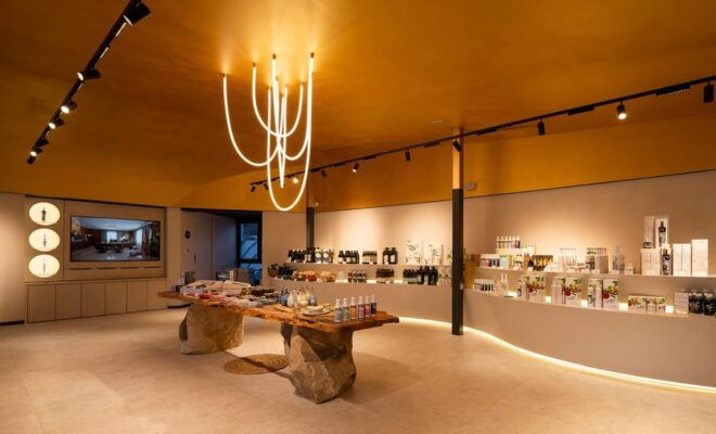 Baeza: Extra Virgin Olive Oil Tour and Tasting at AOVELAND - Tasting and Products
