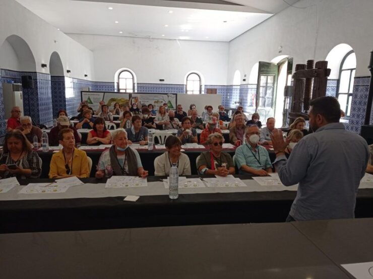 Baeza: Oil Tourism at Hacienda La Laguna - Olive Oil Production Evolution