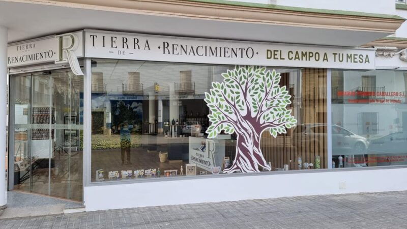 Baeza: Visit to an Ecological Olive Grove + Olive Oil Tasting - Good To Know