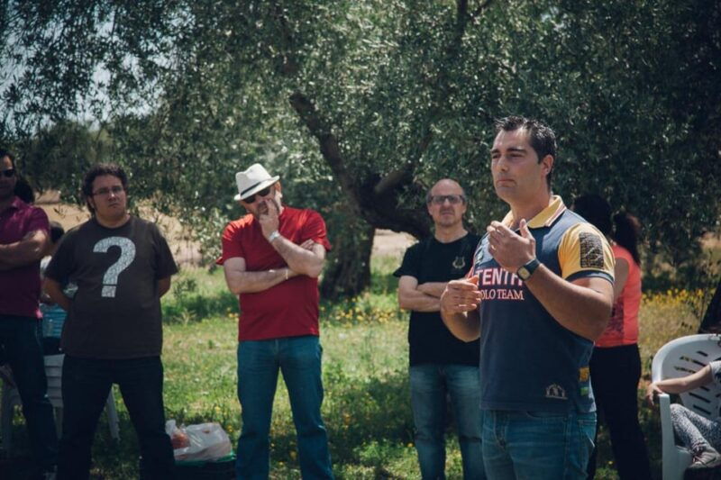 Baeza: Visit to an Ecological Olive Grove + Olive Oil Tasting - Experience Highlights