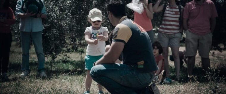 Baeza: Visit to an Ecological Olive Grove + Olive Oil Tasting - Olive Oil Production Process