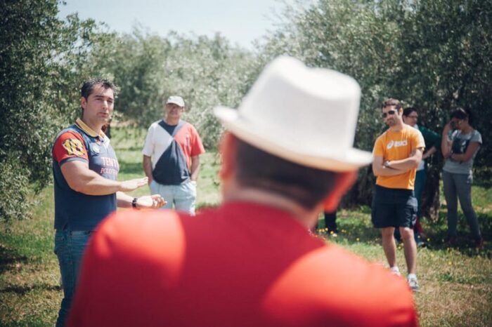 Baeza: Visit to an Ecological Olive Grove + Olive Oil Tasting - Frequently Asked Questions
