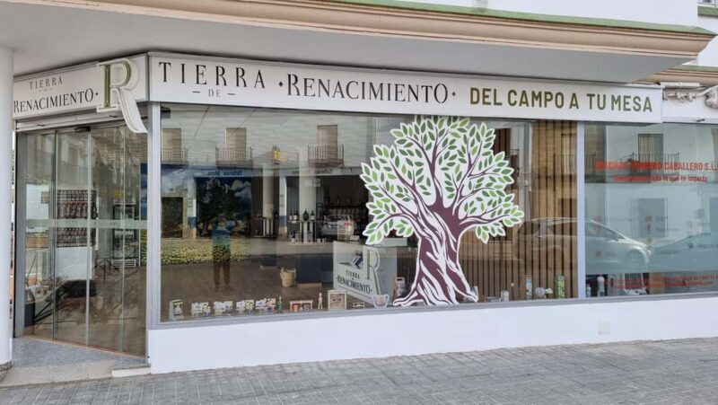 Baeza: Visit to an Organic Olive Grove + Oil Tasting - Good To Know