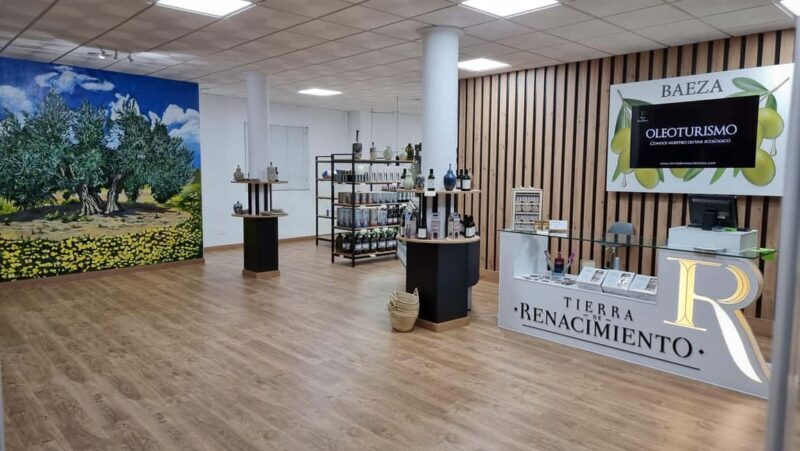 Baeza: Visit to an Organic Olive Grove + Oil Tasting - Introduction and First Impressions