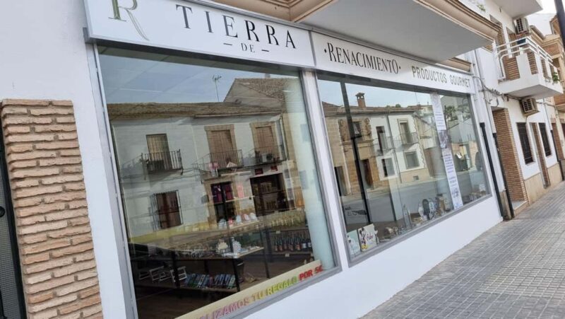 Baeza: Visit to an Organic Olive Grove + Oil Tasting - The Experience from a Traveler’s View