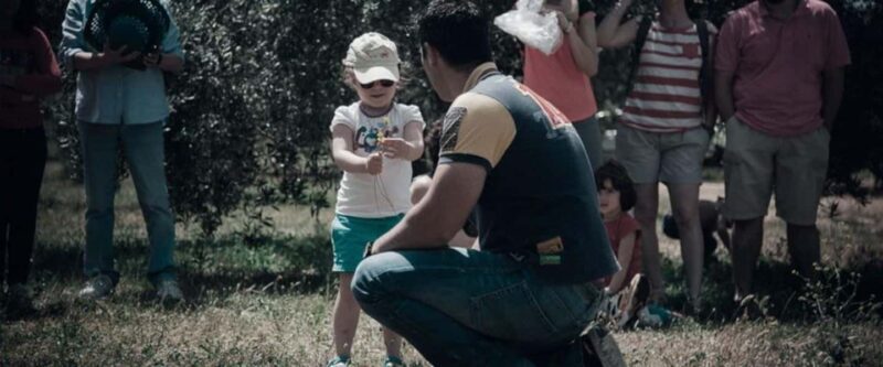 Baeza: Visit to an Organic Olive Grove + Oil Tasting - The Practicalities: What You Need to Know