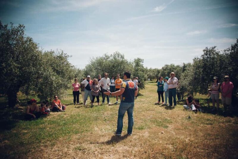 Baeza: Visit to an Organic Olive Grove + Oil Tasting - FAQ