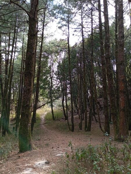 Baghdwar-Bishnudwar: Circuit Hike of Shivapuri - Best Time to Hike