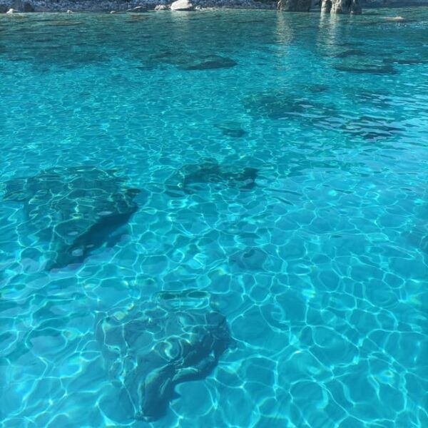 BAGNARA EXCURSION COSTA VIOLA CAVE TOUR + SWIMMING - Location and Departure