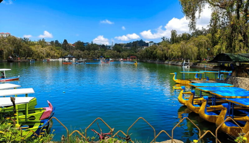 BAGUIO CITY DAY TOUR (FROM MANILA) - The Botanical Garden: Nature and Photography