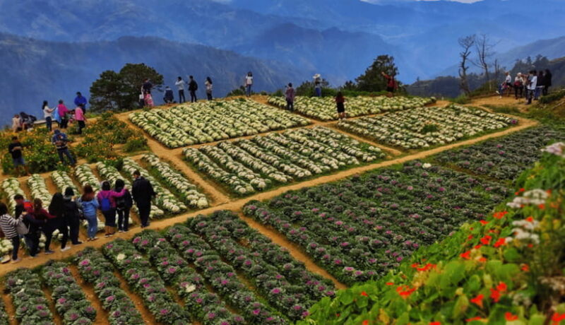 BAGUIO CITY DAY TOUR (FROM MANILA) - Mines View Park: Awe-Inspiring Views and Souvenir Shopping