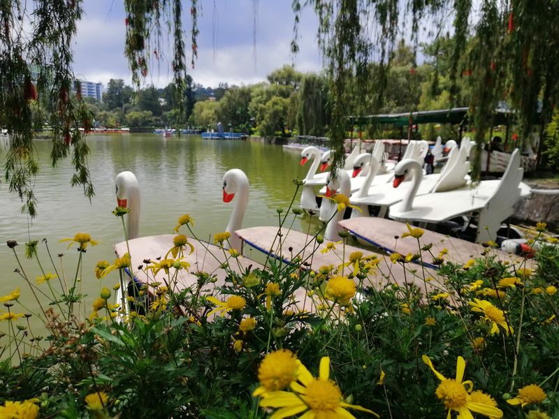 Baguio Creative Walking Tour - What the guide adds