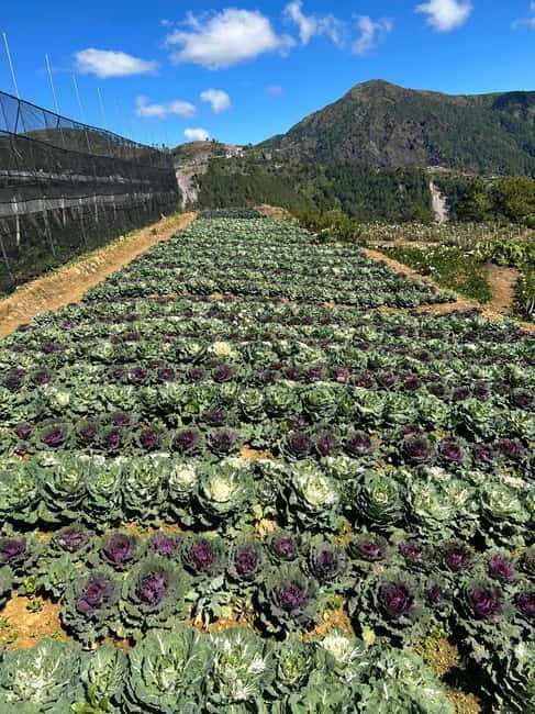 BAGUIO: Culture and Heritage Tour 2D1N - What’s Included and What to Consider