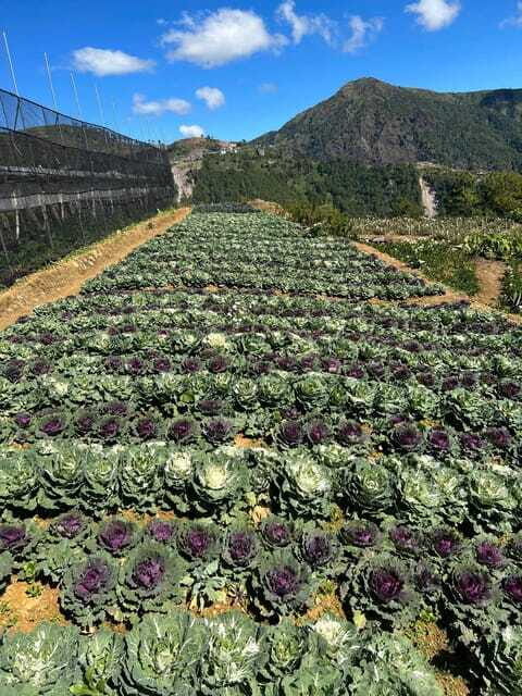 BAGUIO: Culture and Heritage Tour 2D1N - FAQ