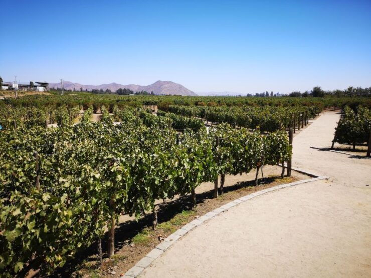 Bahá'Í Temple Concha Y Toro Winery With Hotel Pick up - Highlights