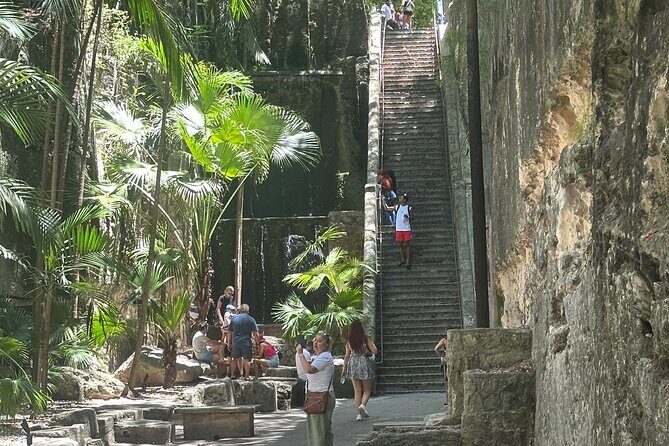 Bahamas Adventure: Number 1 Scooter and Side by Side rentals - Exploring Nassau with the Bahamas Adventure Tour: An Honest Look