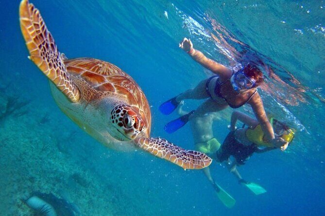 Bahamas Island Private Hopping Adventure - FAQ