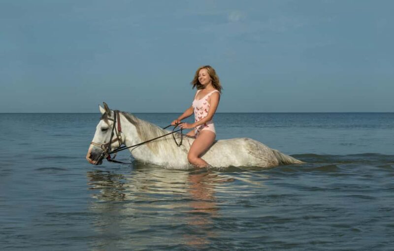Bahamas, Nassau: Beach Horse Ride & Ocean Water Adventure - What to Expect from the Beach Horse Ride & Ocean Water Adventure