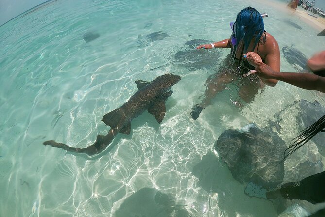 Bahamas Private Half-Day Sailing Adventure  - Out Islands - Inclusions