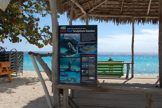 Bahamian Experience Private Beach Getaway - Who Should Consider This Tour?