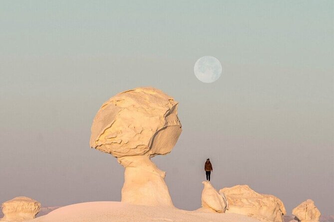 Bahariya Oasis and Fayoum Oasis Tour for 3 Days With 2 Nights - Additional Tour Information