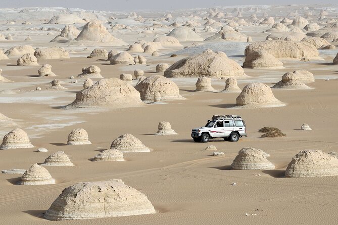 Bahariya Oasis and Fayoum Oasis Tour for 3 Days With 2 Nights - Price and Booking Information