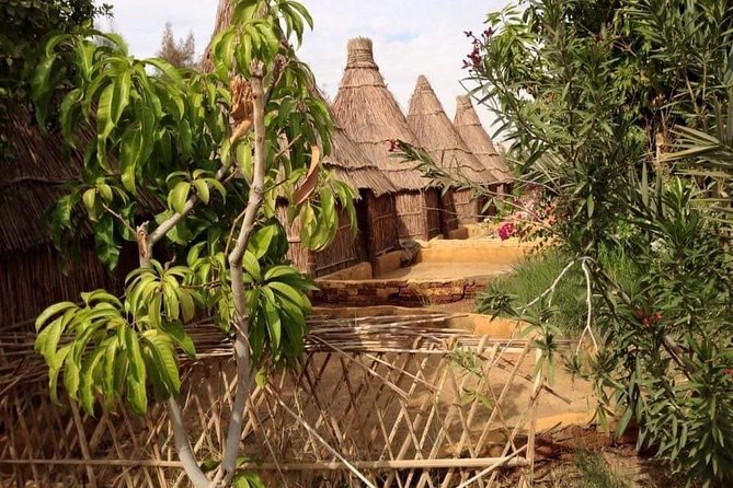 Bahariya Oasis Camp 2 Days 1 Night To From Cairo and Giza 4X4 - Meals and Dining