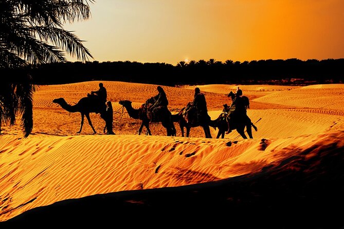 Bahariya Oasis Camp 2 Days 1 Night To From Cairo and Giza 4X4 - Important Reminders