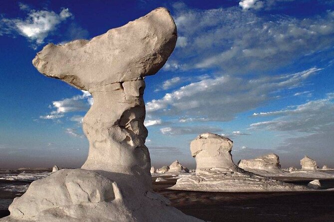 Bahariya Oasis Visit Black And White Desert From Cairo - Booking and Pricing Details
