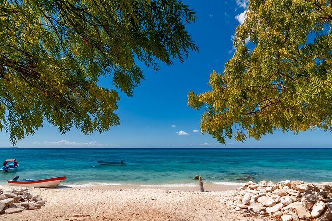 Bahía de las águilas glamping experience from Santo Domingo - Good To Know