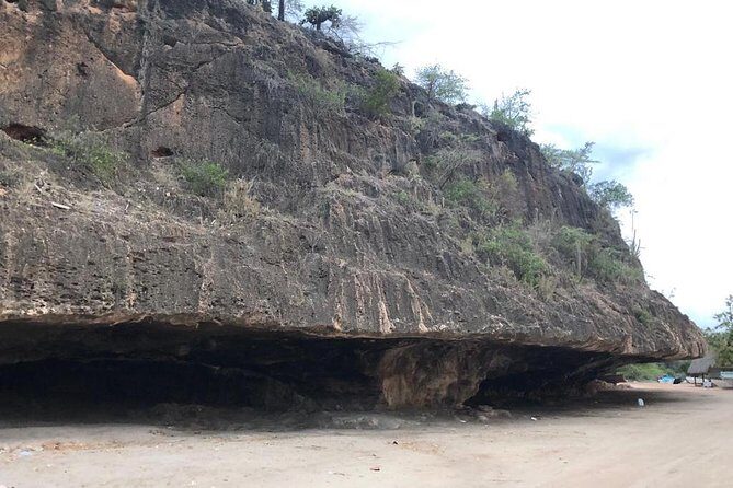 Bahía de las águilas glamping experience from Santo Domingo - The Experience: Pros and Cons