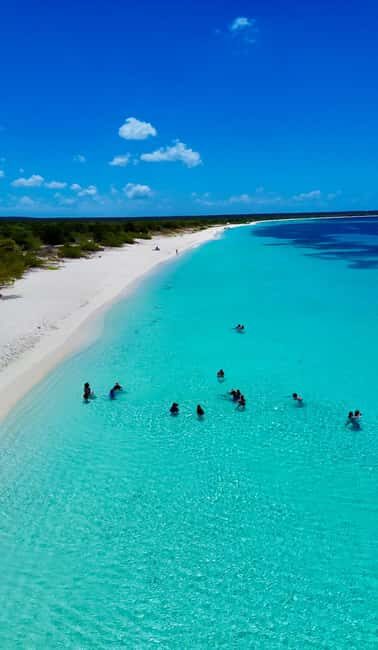 Bahía de las Águilas VIP Full Day Private Beach, Lunch & Open Bar - The Authentic Experience & Review Insights