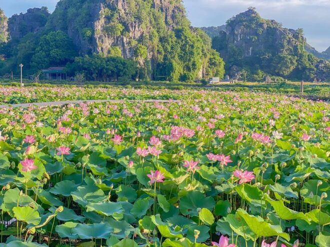 Bai Dinh Pagoda, Trang An Boat Trip and Mua Caves From Hanoi - Trang An Boat Trip