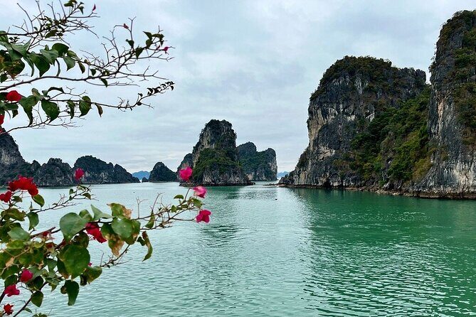 Bai Tu Long Bay 2 Days 1 Night Tour from Hanoi - Good To Know