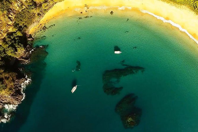 Baia Do Sancho Boat Tour - Reservation Process