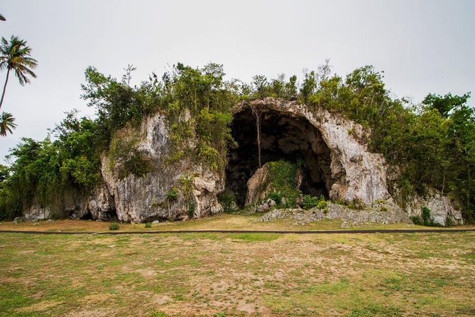 Baila Conmigo-Puerto Rican Historical Dance Tour & Food - Inclusions and Transportation