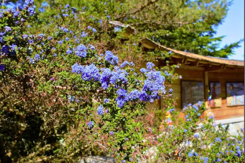 Bainbridge Island Discovery and Wine Tour - The Sum Up