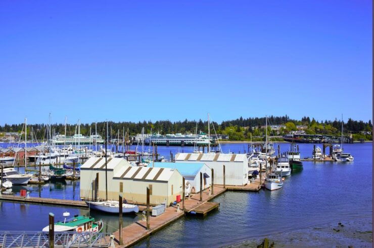 Bainbridge Island Discovery Tour - Booking Information