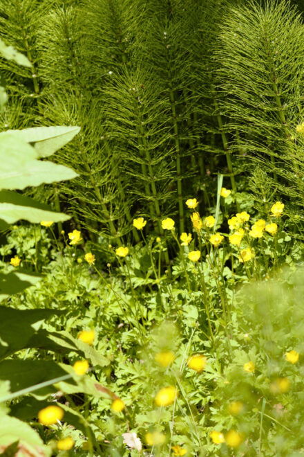 Bainbridge Island Discovery Tour - Highlights of the Tour