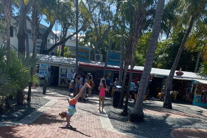 Bainbridge Island Scavenger Hunt - Experience Description