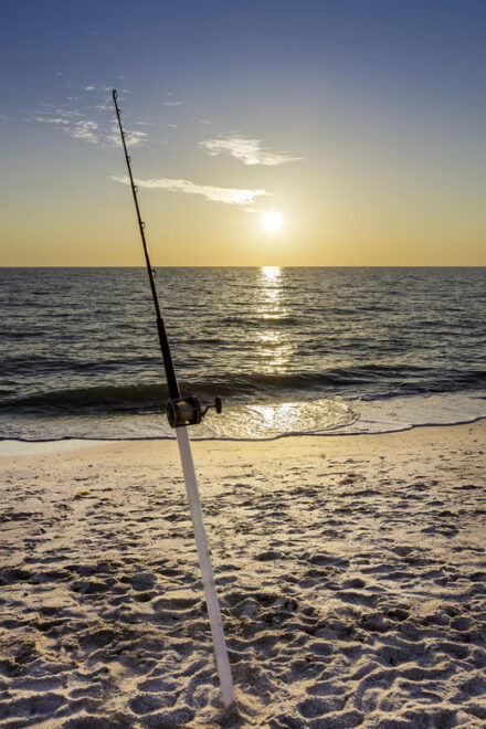 Baja: Adventure Shore Fishing - Explore La Ventana on ATV - Transportation by ATV
