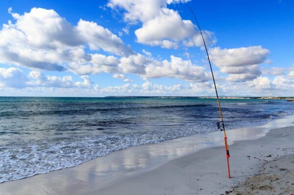 Baja: Adventure Shore Fishing - Explore La Ventana on ATV - Frequently Asked Questions