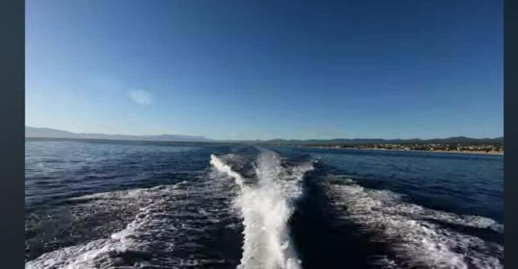 Baja California: 6-Day Scuba & Snorkel Expedition - Diving and Snorkeling
