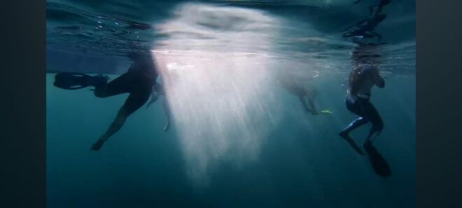 Baja California: 6-Day Scuba & Snorkel Expedition - Ocean Safari and Whale Sharks