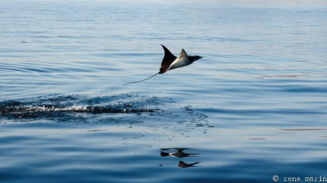 Baja California: 6-Day Scuba & Snorkel Expedition - Transportation and Accommodation