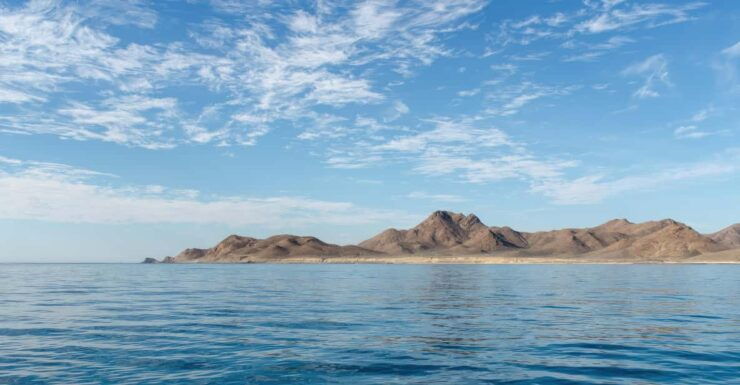Baja California: Whale-Watching Tour in La Ventana 3 People - Whale-Watching Experience
