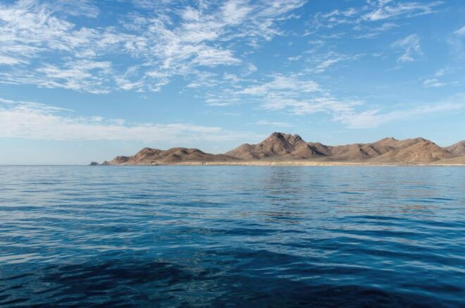 Baja California: Whale-Watching Tour in La Ventana 3 People - Itinerary Highlights